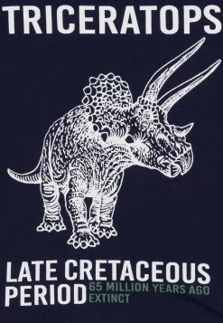 Friboo 4 Pack - Longsleeve - Multi-Coloured/White/Green -Friboo e46a129ca14e4143b4912704b064e6c8